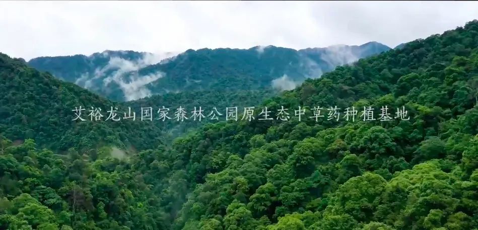 第21屆cbme孕嬰童展艾裕載譽(yù)而歸